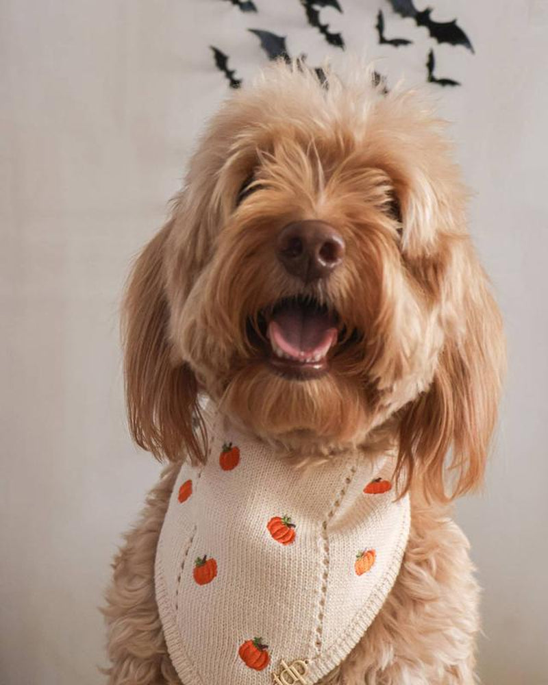 The Deluxe Pup Fall Dog Bandana